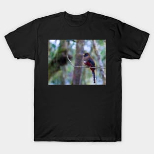 Masked Trogon T-Shirt